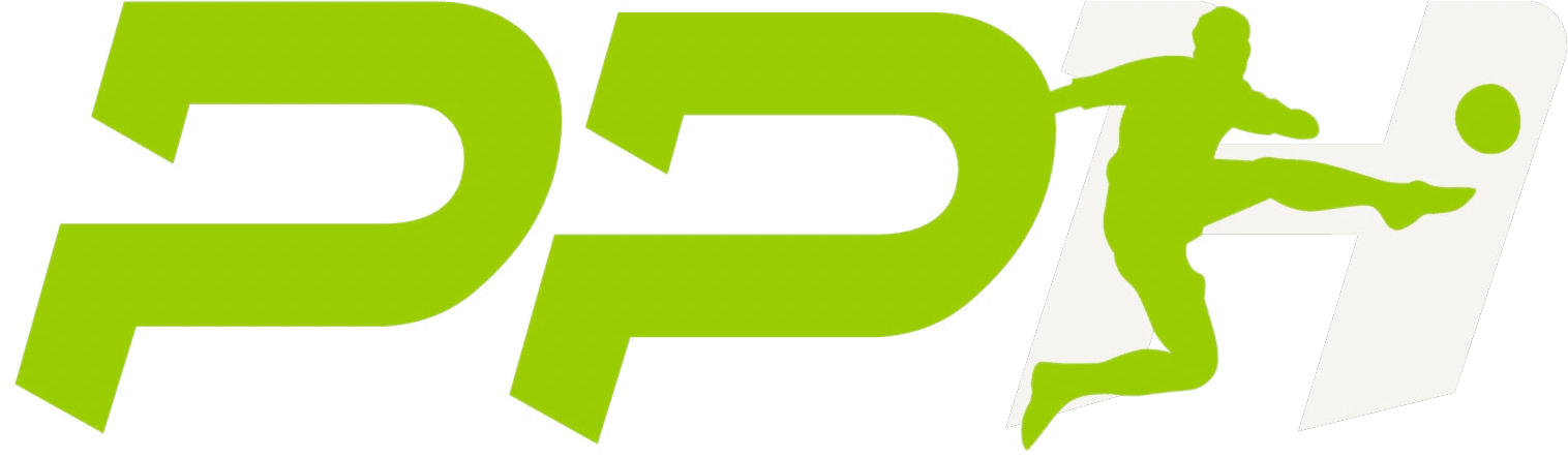 Player Profile Hub